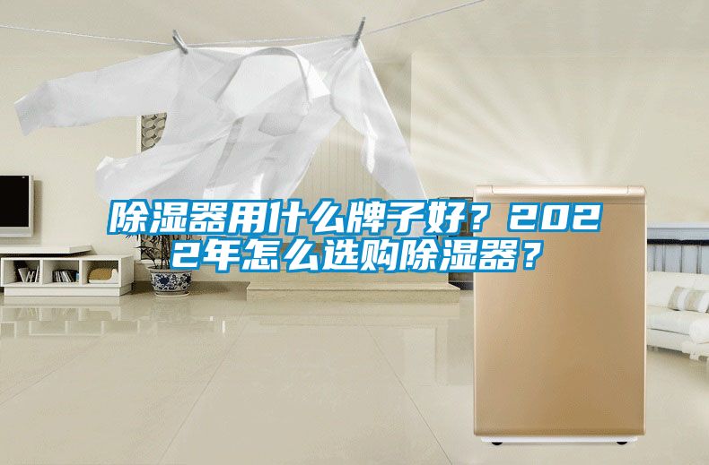 除濕器用什么牌子好？2022年怎么選購除濕器？