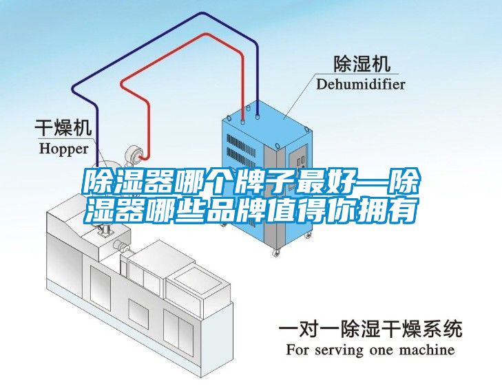 除濕器哪個(gè)牌子最好—除濕器哪些品牌值得你擁有