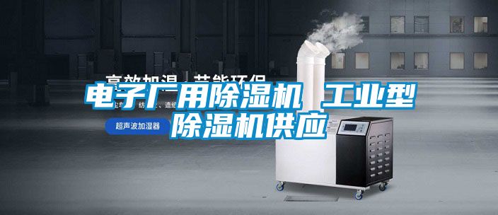 電子廠用除濕機 工業(yè)型除濕機供應(yīng)