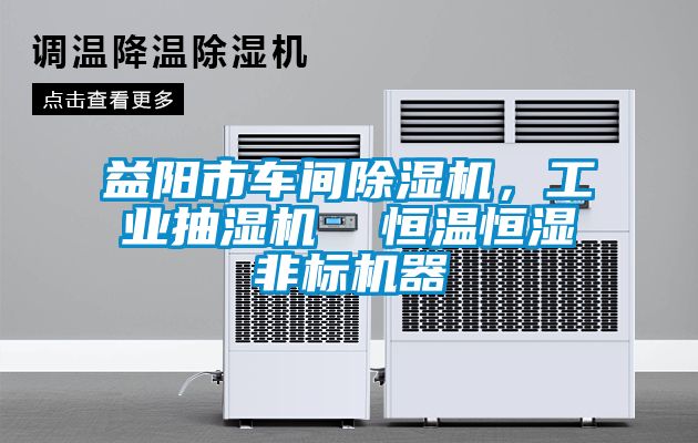 益陽市車間除濕機，工業(yè)抽濕機  恒溫恒濕非標(biāo)機器