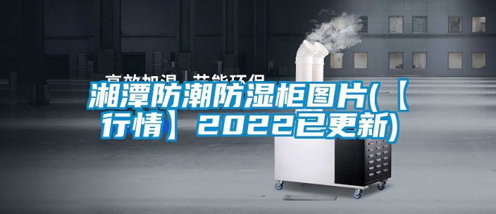 湘潭防潮防濕柜圖片(【行情】2022已更新)