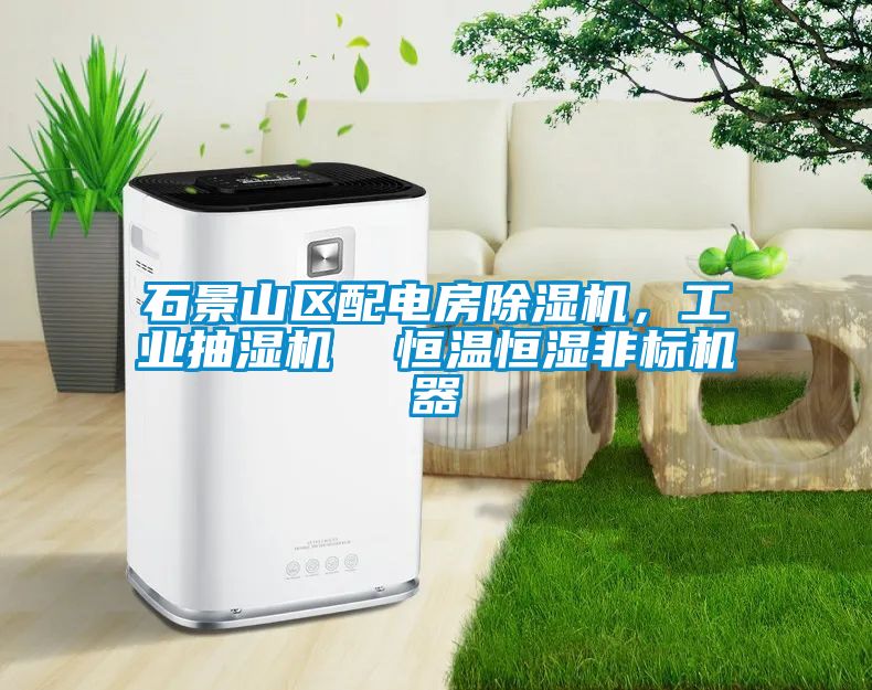 石景山區(qū)配電房除濕機，工業(yè)抽濕機  恒溫恒濕非標機器