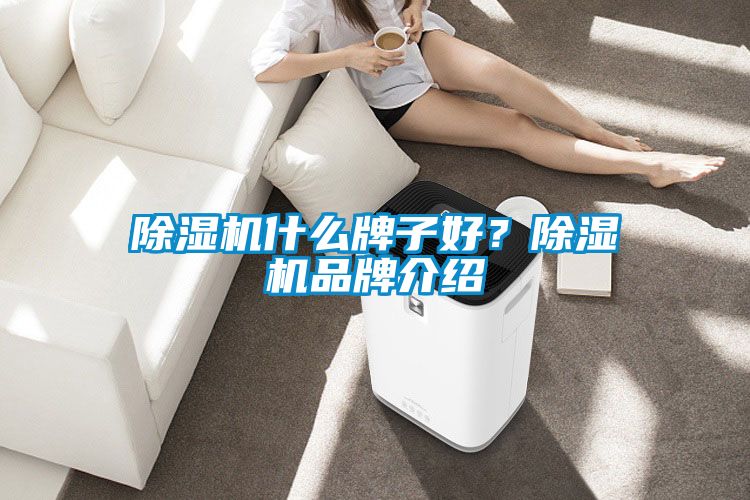 除濕機(jī)什么牌子好？除濕機(jī)品牌介紹