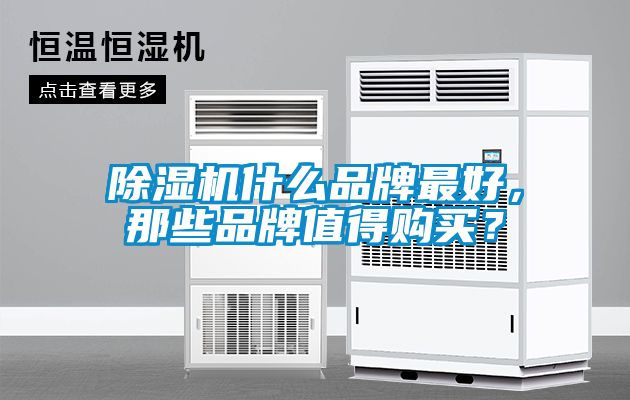 除濕機(jī)什么品牌最好，那些品牌值得購(gòu)買？