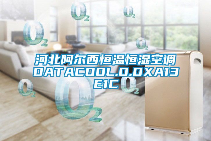 河北阿爾西恒溫恒濕空調DATACOOL.O.DXA13E1C