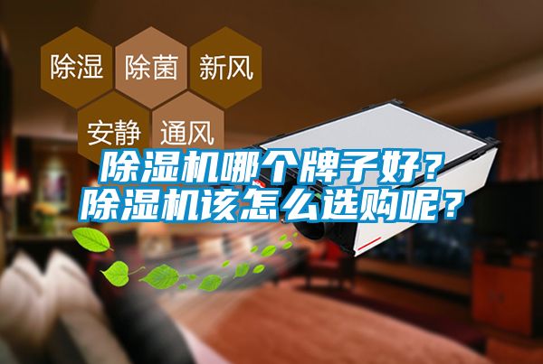 除濕機哪個牌子好？除濕機該怎么選購呢？