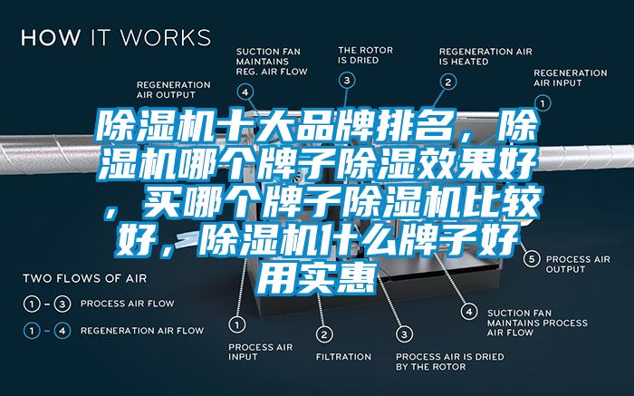 除濕機(jī)十大品牌排名，除濕機(jī)哪個(gè)牌子除濕效果好，買哪個(gè)牌子除濕機(jī)比較好，除濕機(jī)什么牌子好用實(shí)惠