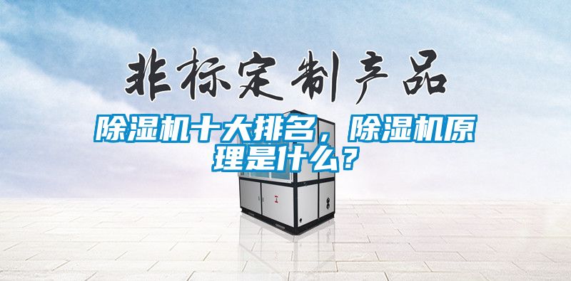 除濕機十大排名，除濕機原理是什么？