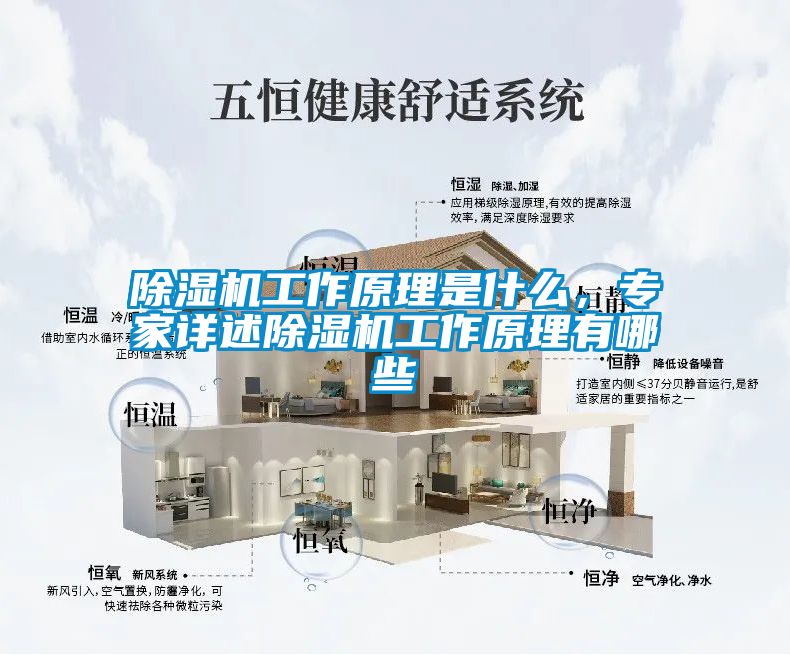 除濕機工作原理是什么，專家詳述除濕機工作原理有哪些