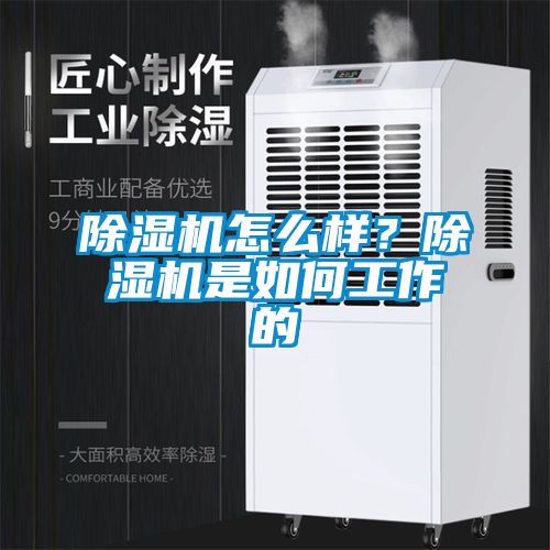 除濕機(jī)怎么樣？除濕機(jī)是如何工作的