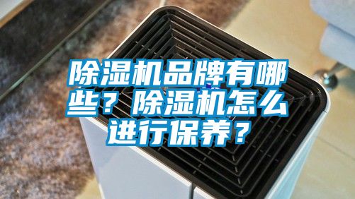 除濕機品牌有哪些？除濕機怎么進行保養(yǎng)？