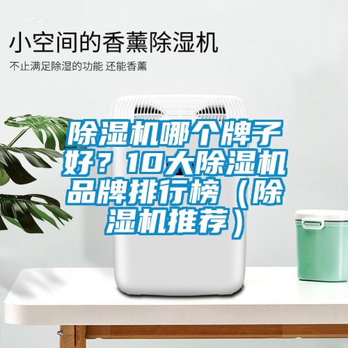 除濕機(jī)哪個牌子好？10大除濕機(jī)品牌排行榜（除濕機(jī)推薦）