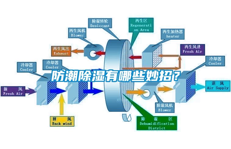 防潮除濕有哪些妙招？