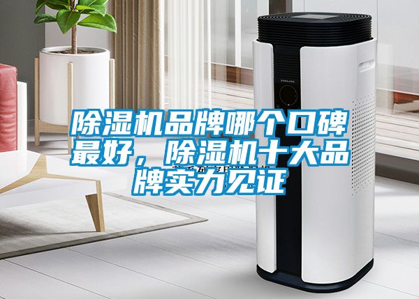 除濕機(jī)品牌哪個口碑最好，除濕機(jī)十大品牌實(shí)力見證