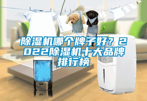 除濕機(jī)哪個(gè)牌子好？2022除濕機(jī)十大品牌排行榜