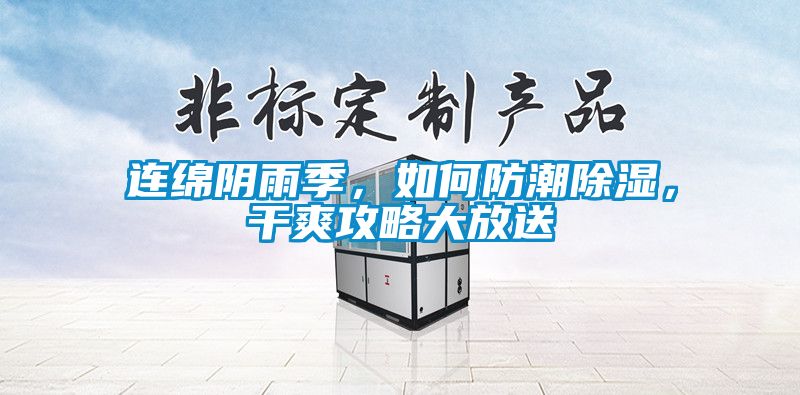 連綿陰雨季，如何防潮除濕，干爽攻略大放送