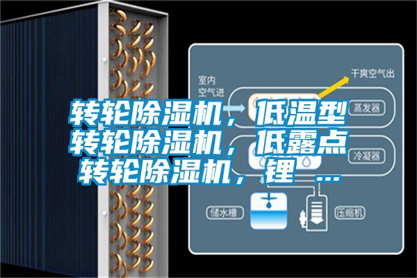轉(zhuǎn)輪除濕機(jī)，低溫型轉(zhuǎn)輪除濕機(jī)，低露點(diǎn)轉(zhuǎn)輪除濕機(jī)，鋰 ...