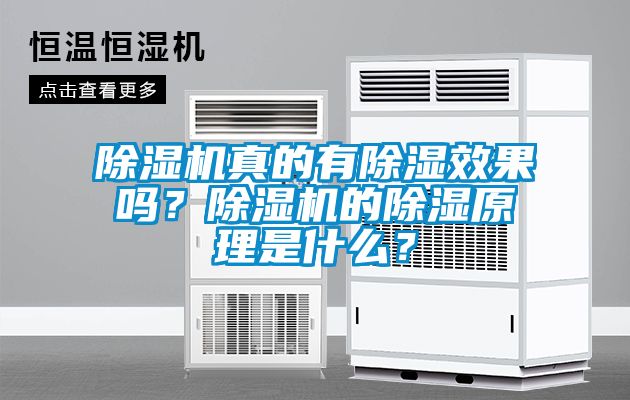 除濕機(jī)真的有除濕效果嗎？除濕機(jī)的除濕原理是什么？