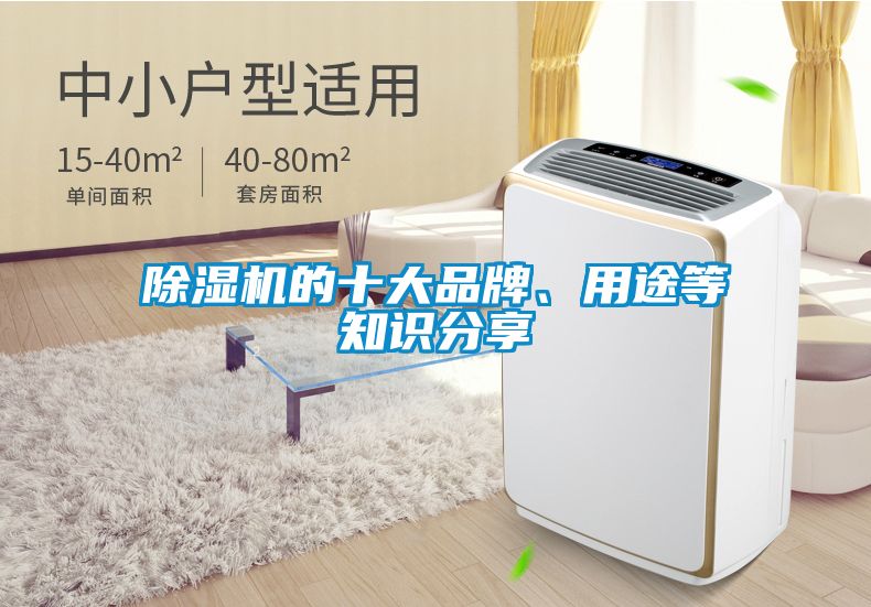 除濕機(jī)的十大品牌、用途等知識(shí)分享