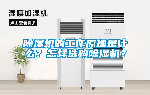 除濕機(jī)的工作原理是什么？怎樣選購(gòu)除濕機(jī)？