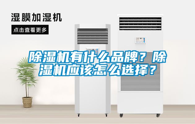 除濕機有什么品牌？除濕機應該怎么選擇？