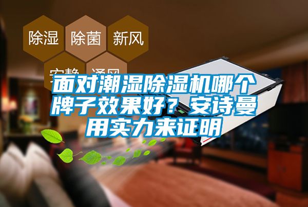 面對潮濕除濕機哪個牌子效果好？安詩曼用實力來證明