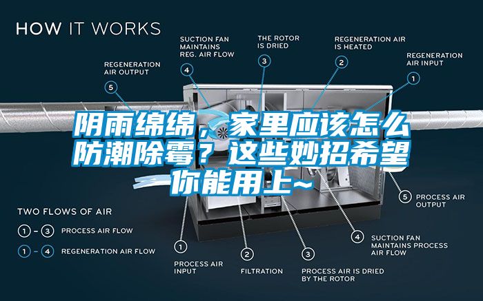 陰雨綿綿，家里應該怎么防潮除霉？這些妙招希望你能用上~