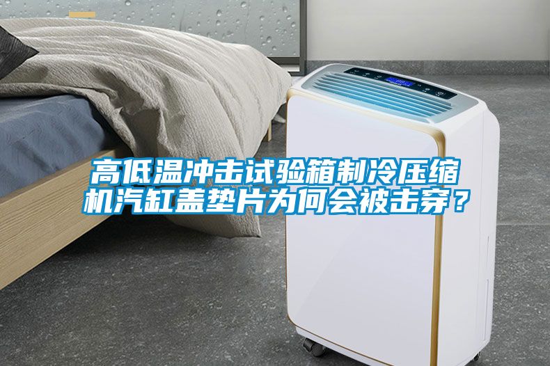 高低溫沖擊試驗箱制冷壓縮機汽缸蓋墊片為何會被擊穿？