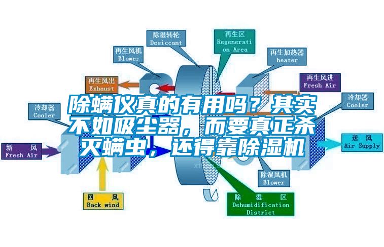 除螨儀真的有用嗎？其實(shí)不如吸塵器，而要真正殺滅螨蟲，還得靠除濕機(jī)